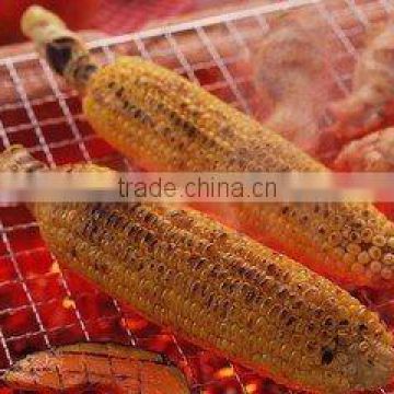 chromium plated barbecue wire mesh/hebei tuosheng