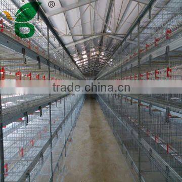 A type broiler chicken cage