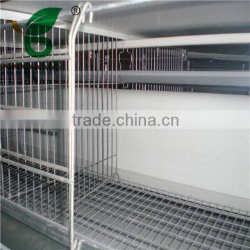 multi-tier galvanized chicken cage system for sale