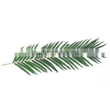 Artificial feather palm leaves