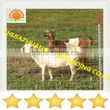 animal fence sheep fence farm cow fence