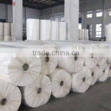 PP Woven Fabric/PP Woven Fabric for Flexitank Container photo-3
