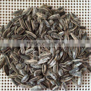 Roasted Salted Sunflower seeds 5009 for sale