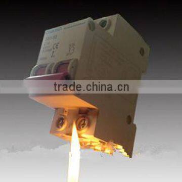 2P 6kA circuit breaker for short circuit and overload protection