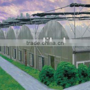 multi-span agricultural greenhouses for tomato