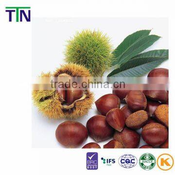 TTN Wholesale Chinese Nuts Chestnut Fresh Chestnuts Snacks