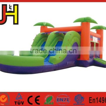 Commercial Tropical Theme Double Lanes Inflatable Water Slide For Sale