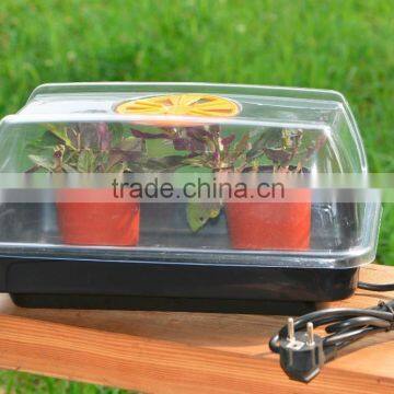 Electric Propagator