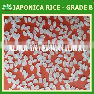 JAPONICA ROUND RICE