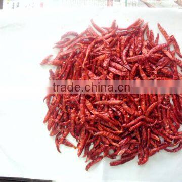 Whole Chilli photo-3
