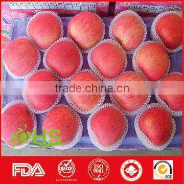 Fresh Fuji Apple Fruit Exporter From China photo-3