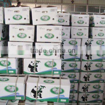 chinese garlic in 10kg cartons