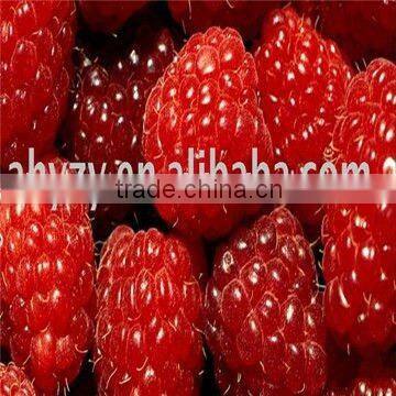 100% natural fructus rubi