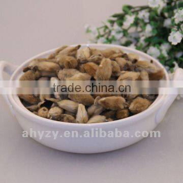 Good quality FLOS MAGNOLIAE(Xinyihua) supplier