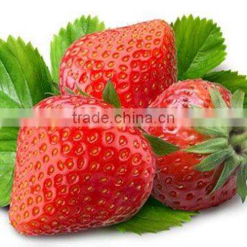 Sell 100% natural Dried Strawberry Extract Powder 5:1&10:1 with high quality