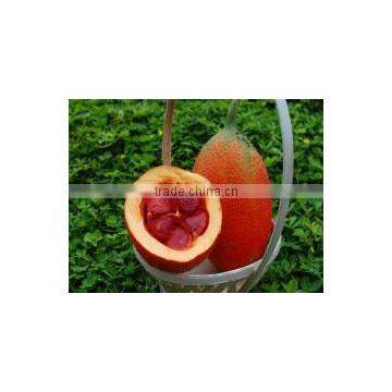 Gac Oil Capsules for Bright Eyes photo-5