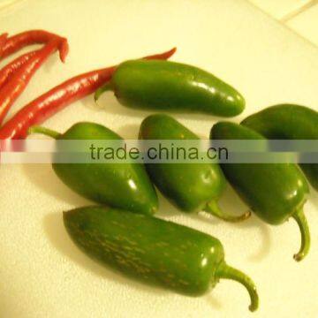 Pickled jalapeno pepper best selling products in america 2015