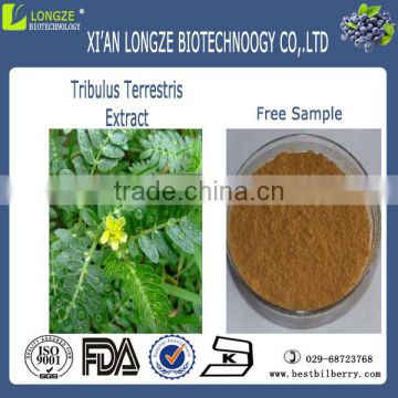 tribulus terrestris p.e.,China tribulus terrestris extract