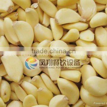 Large Type Peeling Machine Series / Peeler Machine for Small Onion / FX-128 -2 Garlic Peeling Machine With CE Approved photo-4