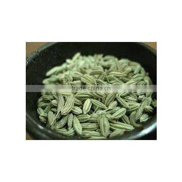 Fennel Seed Oil photo-3