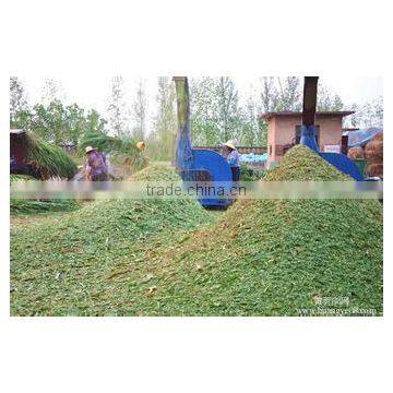 Hot Selling Fertilizer photo-2