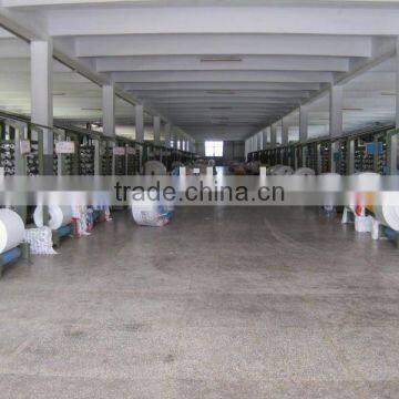 pp Woven Fabric