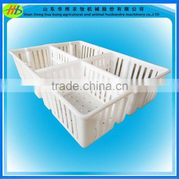 Poultry plastic chicken transport stackable cage /box/crates for child chicken duck rabbit