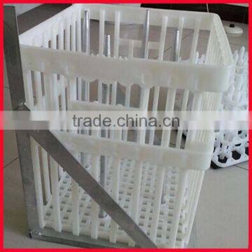 chicken/duck egg crate