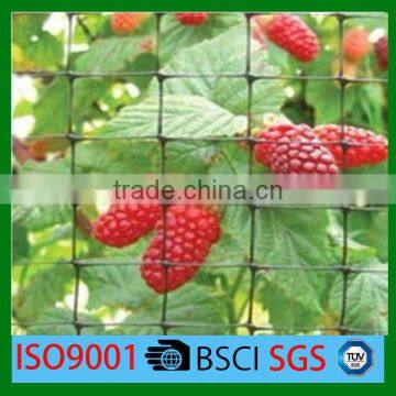 plastic hdpe agriculture anti bird net