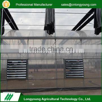 Fashion professional europe type customized used greenhouse for sale