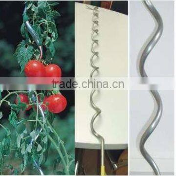 tomato spiral planter