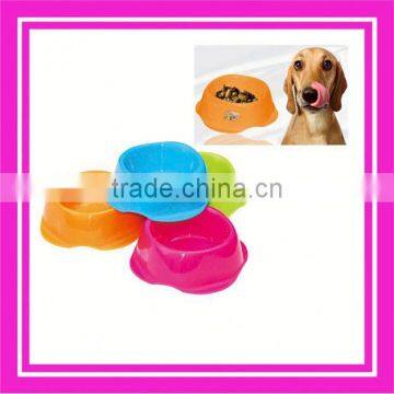 pet dog feeder