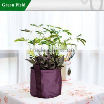 Home decoration planter pots for greenhouse plants