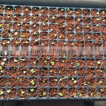 288 cell PS material plastic plant growing trays, China wholesale