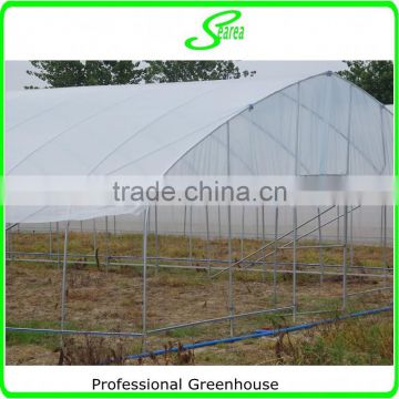 tunnel farming greenhouse for agriculture