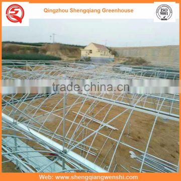 Agriculture equipment multi-span 6.0m plastic PE film agriculture greenhouse for sale