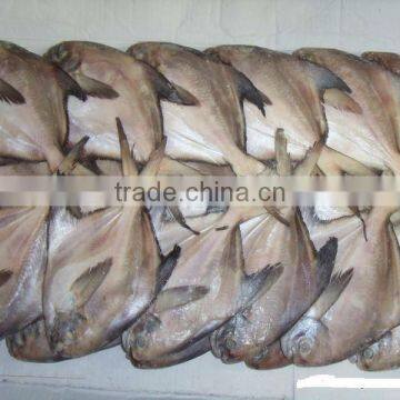 frozen pomfret