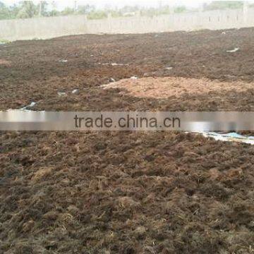 Sell Gracilaria, Eucheuma Spinosum And Eucheuma Cottoni Seaweeds photo-2