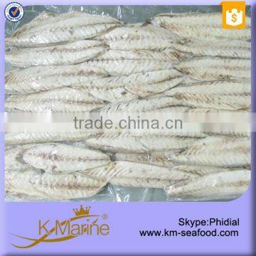 Fresh Norway Mackerel For Fillet and Loin Lot Number#kml4069 photo-2