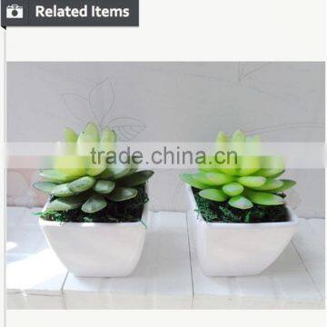 Artificial Succulent Home Decorative Tropical Plants Small Manufacturing Plant photo-4