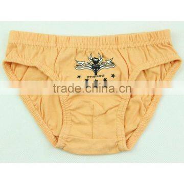 Sex Boy Photo Underwear Boy Wearing Underwear Photos Transparent Underwear photo-3