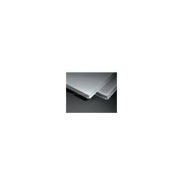 lay in false ceiling /metal ceiling/ ceiling