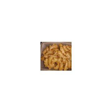 supply chinese ginger