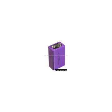 LiFePO4 Rechargeable Batteries