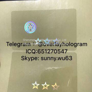 Texas id state overlay hologram