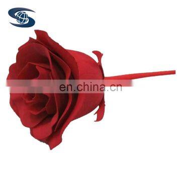 High precision CNC machining services wrist watch plastic rapid prototype SLS SLA FDM resin 3d printing services vacuum casting