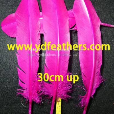 Pink Turkey plume feather for Wholesale from China