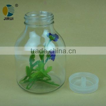 600ml plant tissue culture glass jar with plastic cap