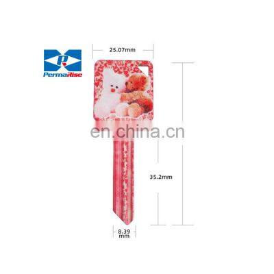 Wholesale Customize Color Ultra Light Door Key Blank With Patterns