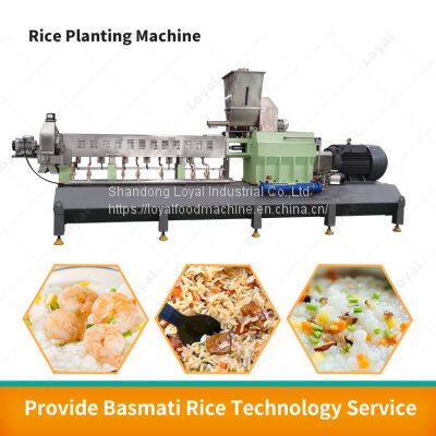 Extruded Rice Processing Line Nutritional Rice Processing Machine Extruder for Rice photo-4